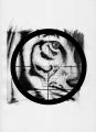 OptikTiger